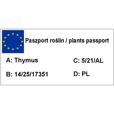 Tymianek Cytrynowy 'Thymus citriodorus'